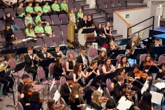 Southampton Youth Orchestra